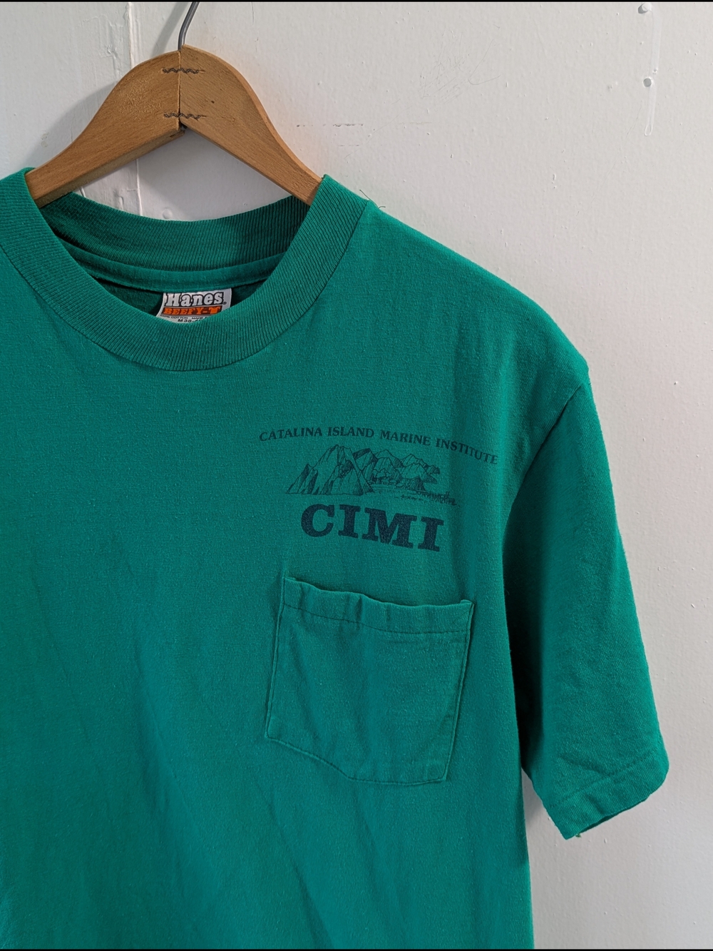 Vintage 80's Hanes Beefy T-Shirt Green Catalina Island Marine Institute Size M